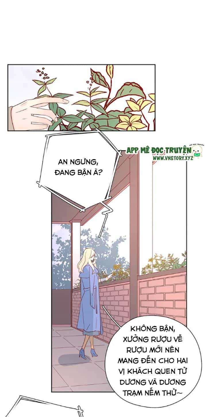 Cạm Bẫy Ngọt Ngào - Chương 102 - ảnh 21