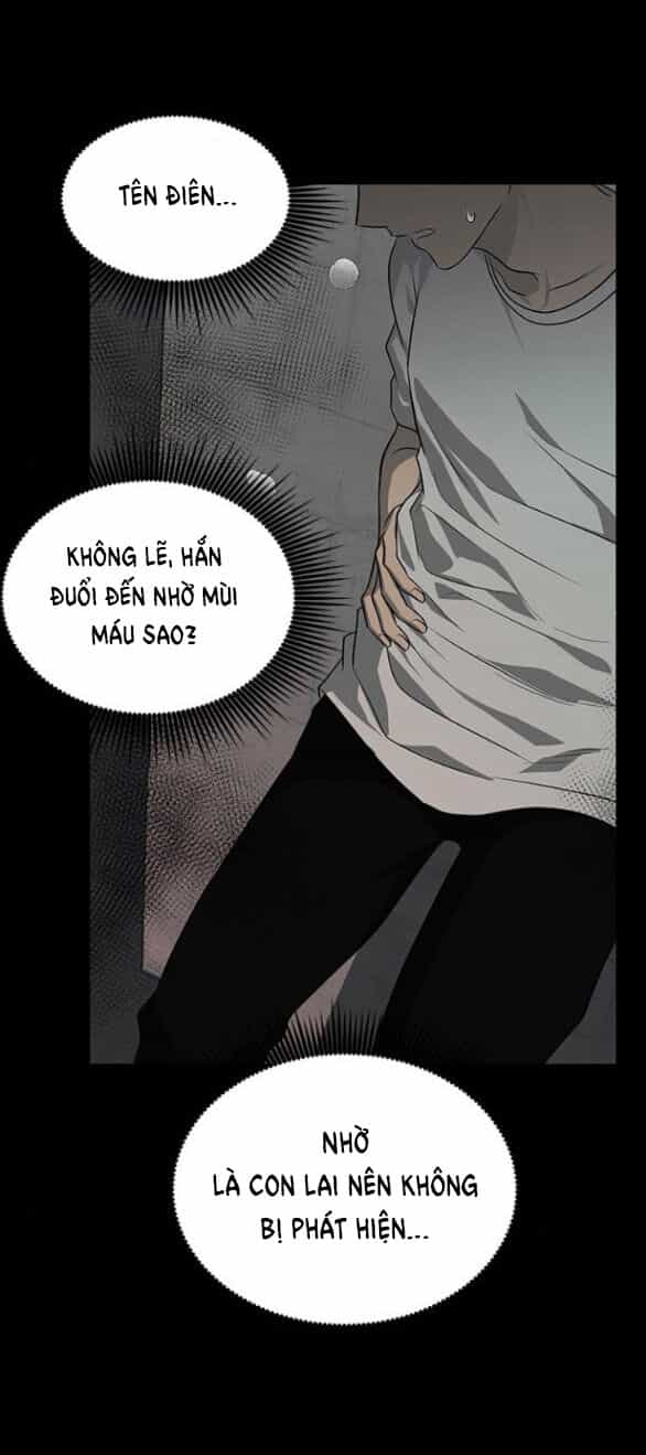 Cạm Bẫy - Chương 166.1 - ảnh 2