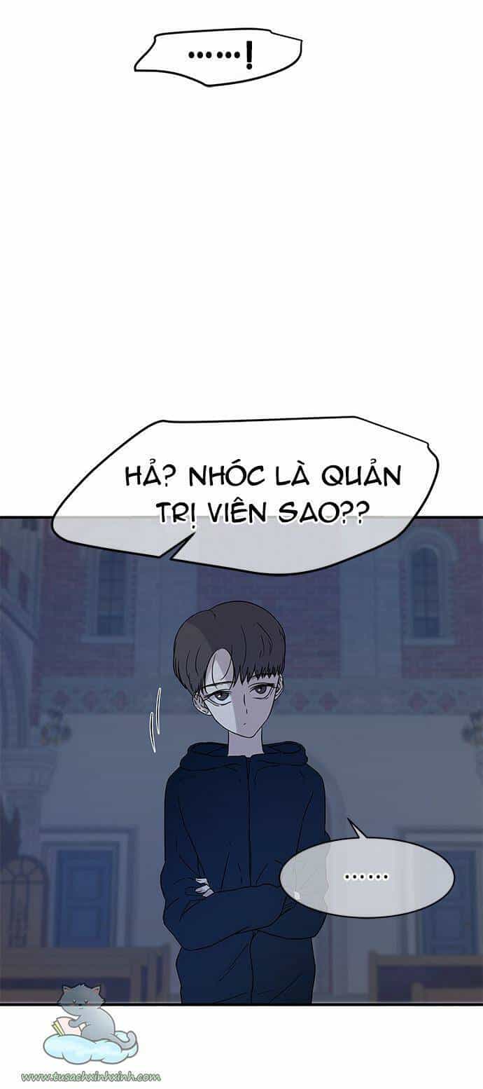 Cạm Bẫy - Chương 28 - ảnh 28