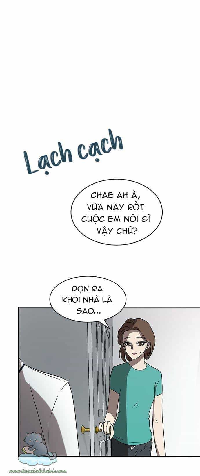 Cạm Bẫy - Chương 39 - ảnh 54