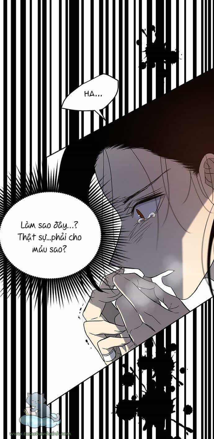 Cạm Bẫy - Chương 68 - ảnh 96