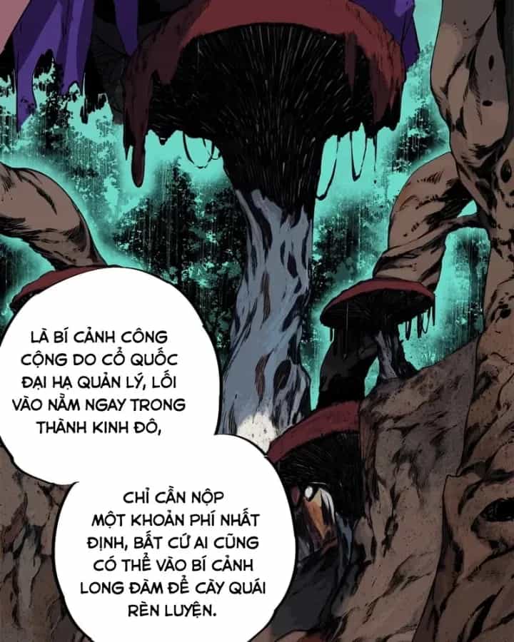 Cấm Chú Sư Mạnh Nhất Lịch Sử - Chương 73 - ảnh 75