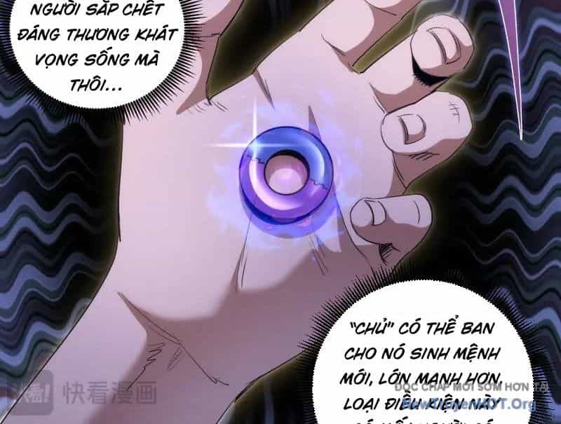 Cao Đẳng Linh Hồn - Chương 340 - ảnh 12