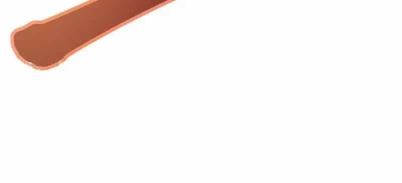 Cao Võ Tiến Hóa: Bắt Đầu Thức Tỉnh Quái Thú Chi Vương - Chương 6.2 - ảnh 32