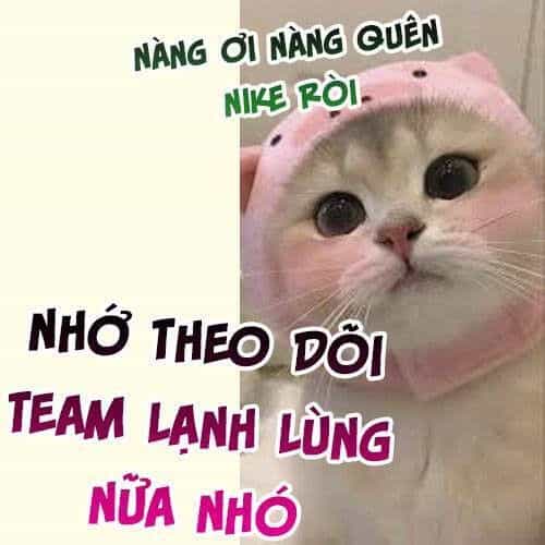 Caramal Kỳ Quái - Chương 24 - ảnh 9