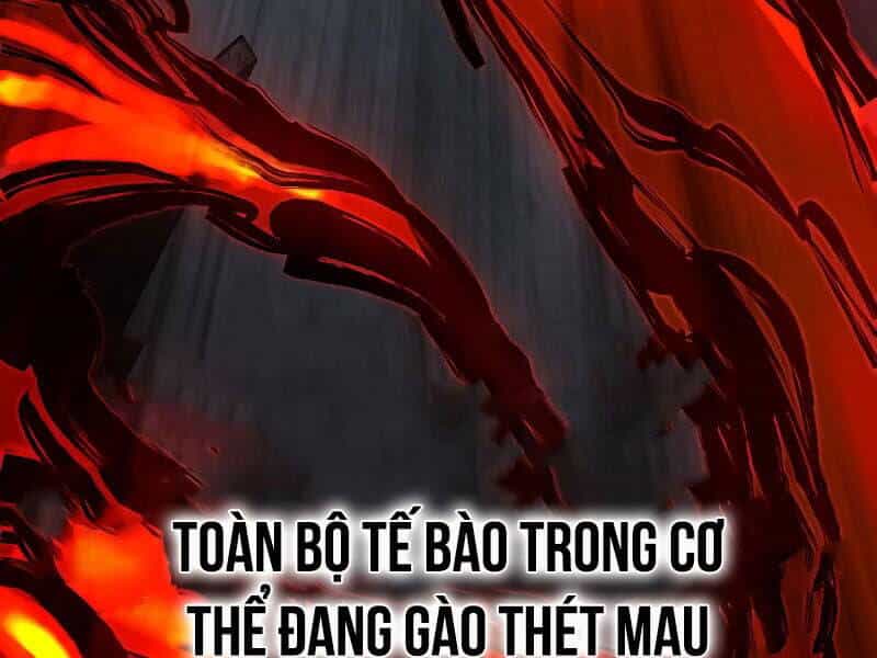 Cậu Bé Của Thần Chết - Chương 254 - ảnh 526