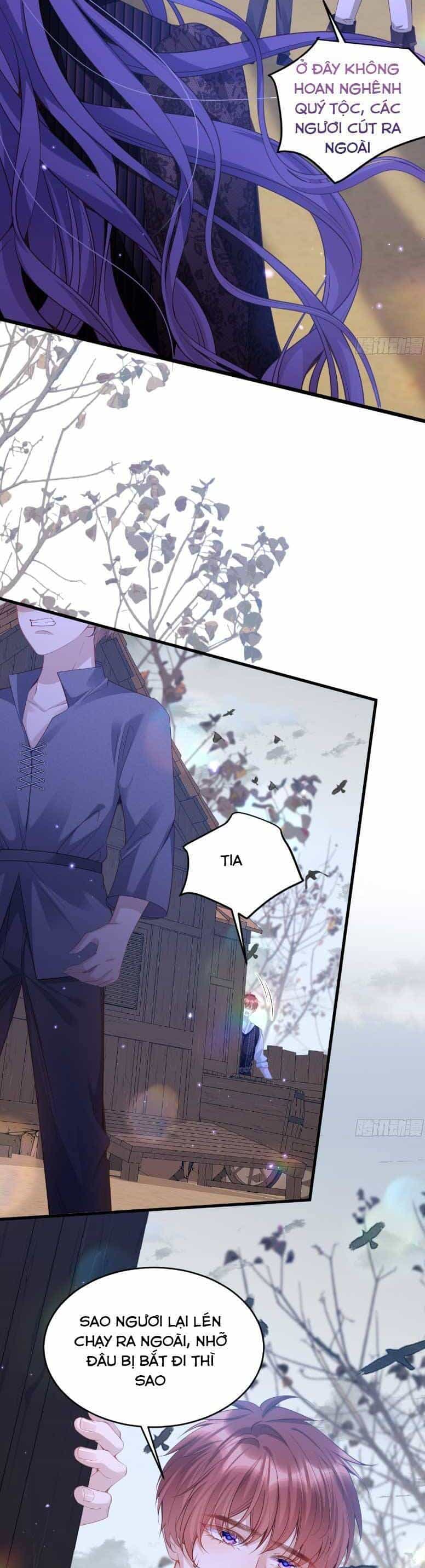 Cầu Hôn Giáo Hoàng - Chương 11 - ảnh 9