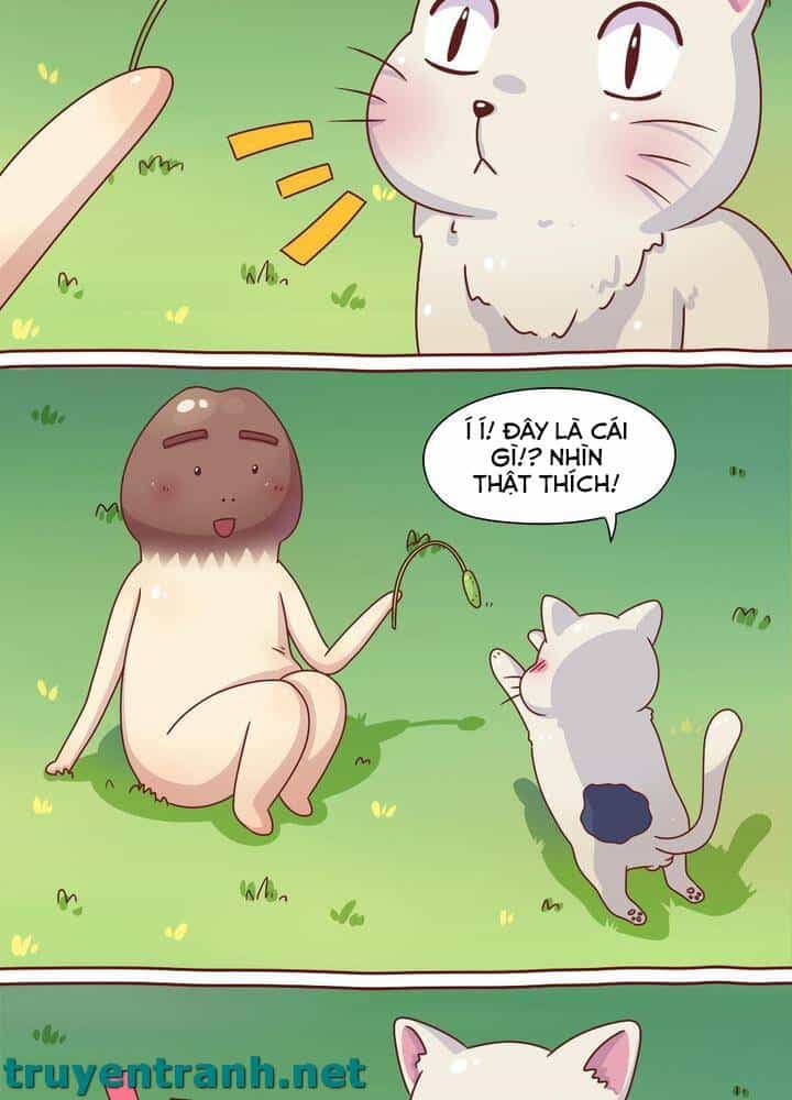 Cây Nấm Kì Khả - Chương 7 - ảnh 10