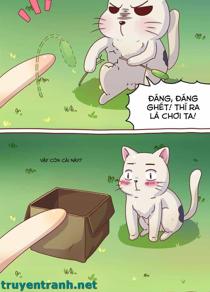 Cây Nấm Kì Khả - Chương 7 - ảnh 11