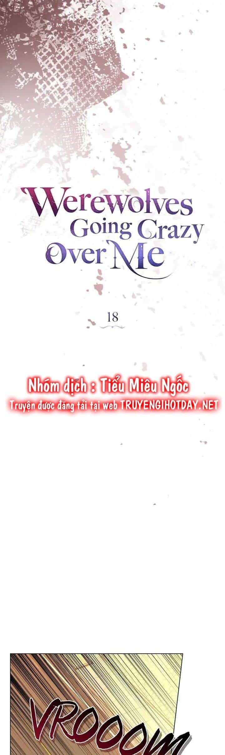 Chàng Người Sói Phát Điên Vì Tôi - Chương 18 - ảnh 14