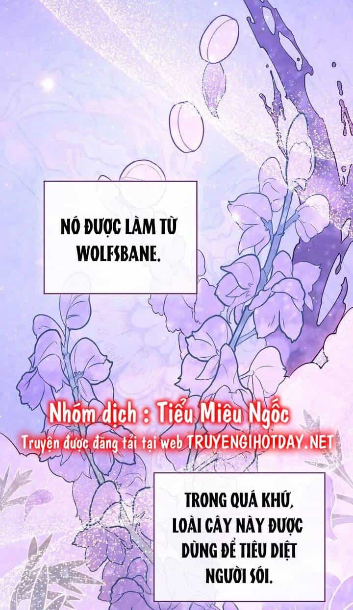 Chàng Người Sói Phát Điên Vì Tôi - Chương 3 - ảnh 48