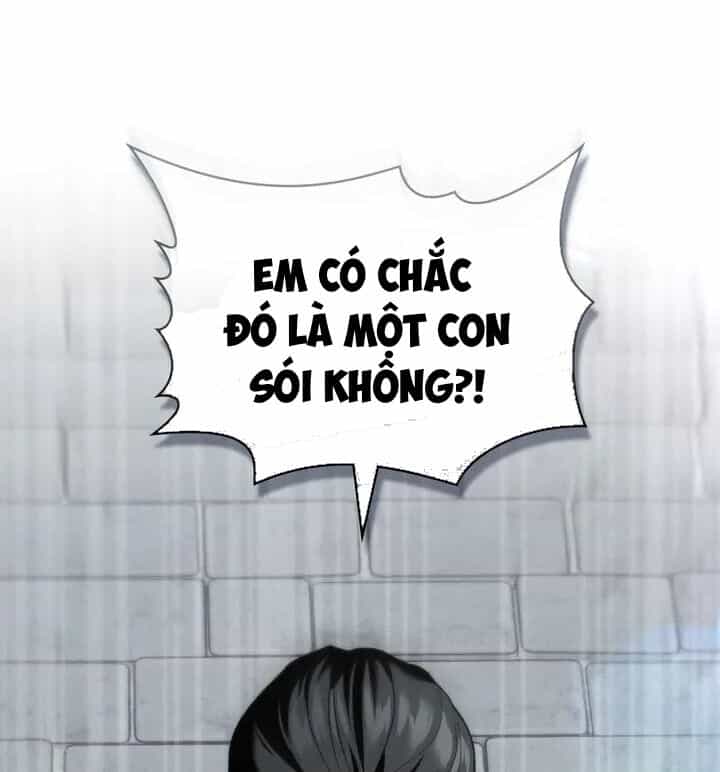 Chàng Người Sói Phát Điên Vì Tôi - Chương 39 - ảnh 21