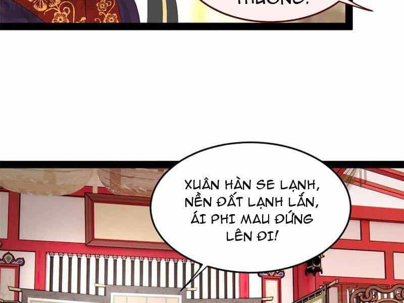 Chàng Rể Mạnh Nhất Lịch Sử - Chương 199 - ảnh 11