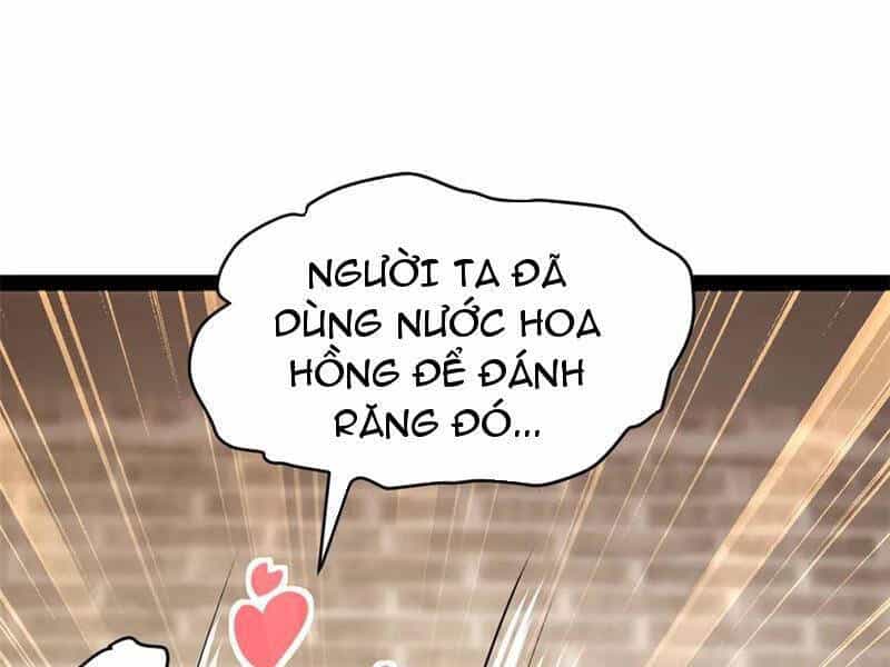 Chàng Rể Mạnh Nhất Lịch Sử - Chương 203 - ảnh 25