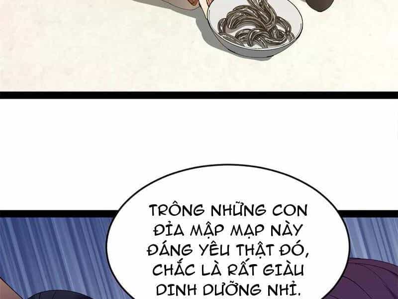 Chàng Rể Mạnh Nhất Lịch Sử - Chương 204 - ảnh 86
