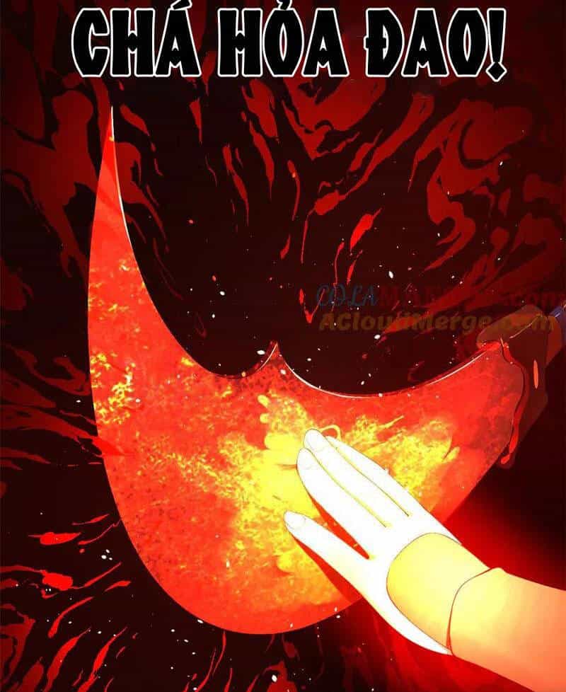 Chàng Rể Mạnh Nhất Lịch Sử - Chương 209 - ảnh 17