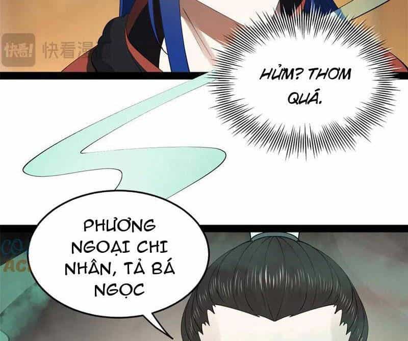 Chàng Rể Mạnh Nhất Lịch Sử - Chương 211 - ảnh 19