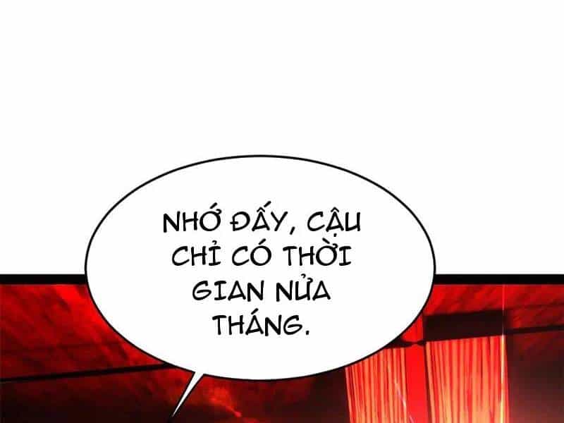 Chàng Rể Mạnh Nhất Lịch Sử - Chương 221 - ảnh 99