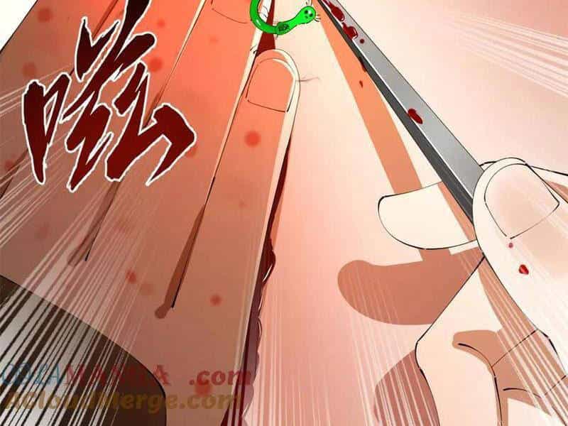 Chàng Rể Mạnh Nhất Lịch Sử - Chương 223 - ảnh 60