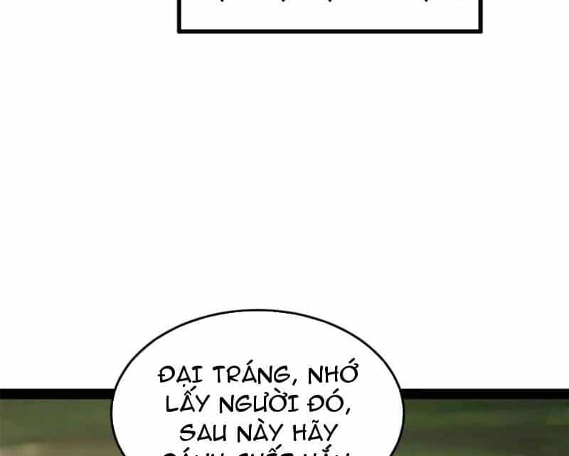Chàng Rể Mạnh Nhất Lịch Sử - Chương 233 - ảnh 29