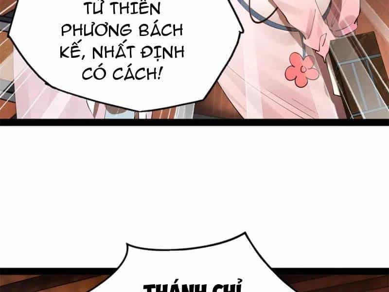 Chàng Rể Mạnh Nhất Lịch Sử - Chương 239 - ảnh 19
