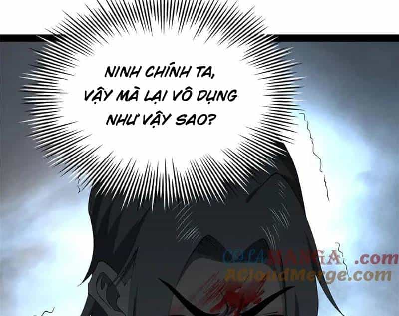 Chàng Rể Mạnh Nhất Lịch Sử - Chương 240 - ảnh 29