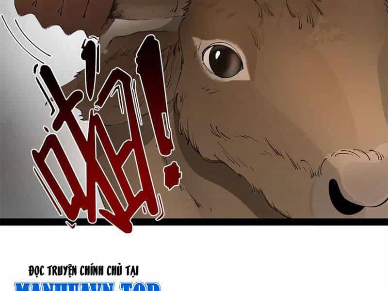Chàng Rể Mạnh Nhất Lịch Sử - Chương 247 - ảnh 82