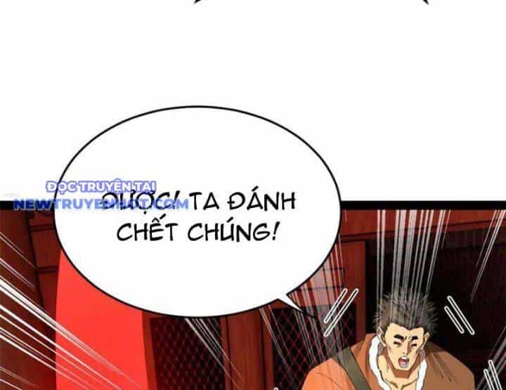 Chàng Rể Mạnh Nhất Lịch Sử - Chương 251 - ảnh 11