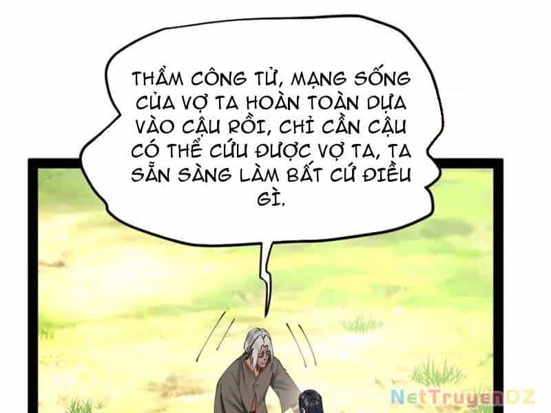 Chàng Rể Mạnh Nhất Lịch Sử - Chương 255 - ảnh 31