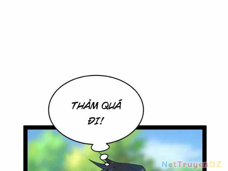 Chàng Rể Mạnh Nhất Lịch Sử - Chương 255 - ảnh 40
