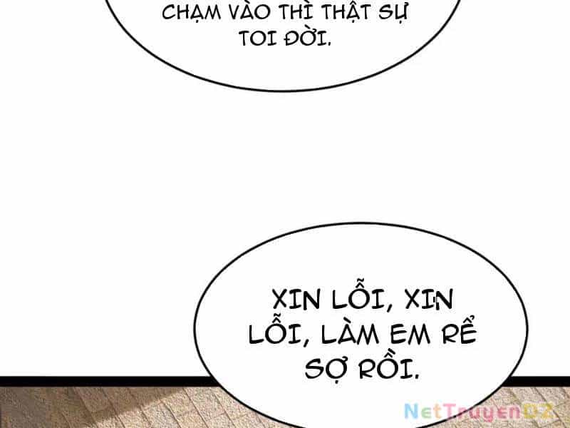 Chàng Rể Mạnh Nhất Lịch Sử - Chương 255 - ảnh 86