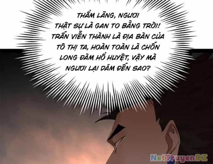 Chàng Rể Mạnh Nhất Lịch Sử - Chương 256 - ảnh 66