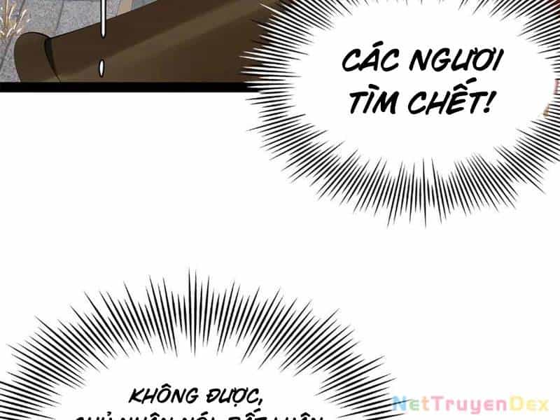 Chàng Rể Mạnh Nhất Lịch Sử - Chương 257 - ảnh 24