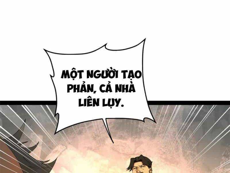Chàng Rể Mạnh Nhất Lịch Sử - Chương 258 - ảnh 116