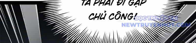 Chàng Rể Mạnh Nhất Lịch Sử - Chương 263 - ảnh 104