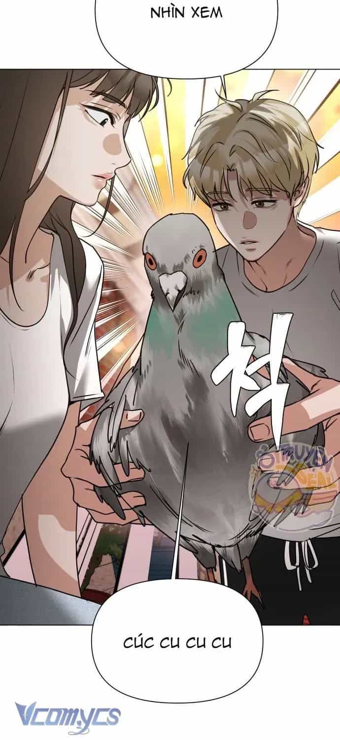Chàng Romeo Của Chúng Ta - Chương 5 - ảnh 40