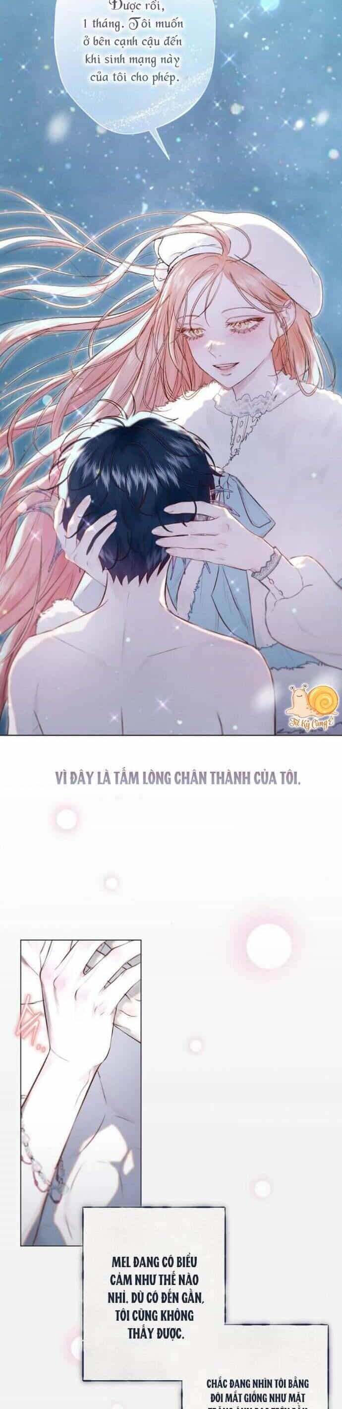Chàng Tiên Cá Bị Giam Cầm Trong Hồ Nhà Tôi - Chương 10 - ảnh 21