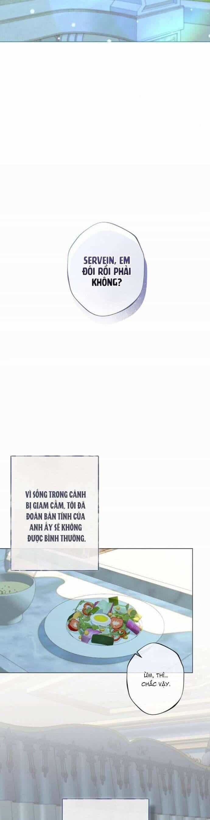 Chàng Tiên Cá Bị Giam Cầm Trong Hồ Nhà Tôi - Chương 21 - ảnh 11