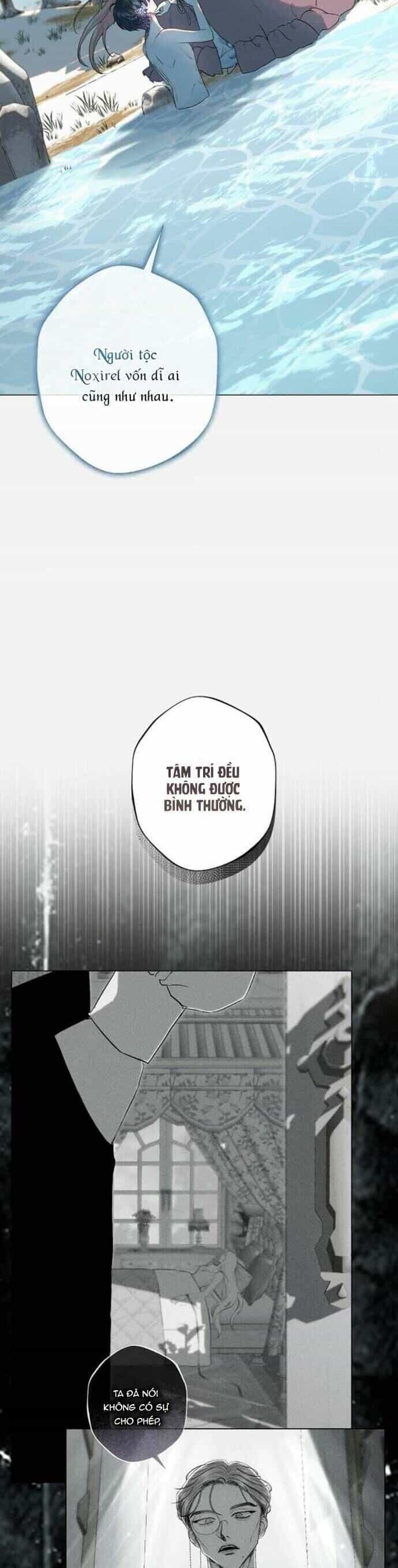 Chàng Tiên Cá Bị Giam Cầm Trong Hồ Nhà Tôi - Chương 5 - ảnh 21