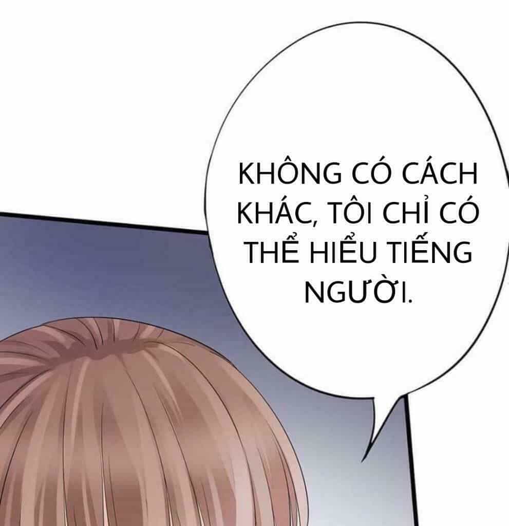 Chào Buổi Sáng, Ức Vạn Manh Thê - Chương 2 - ảnh 23