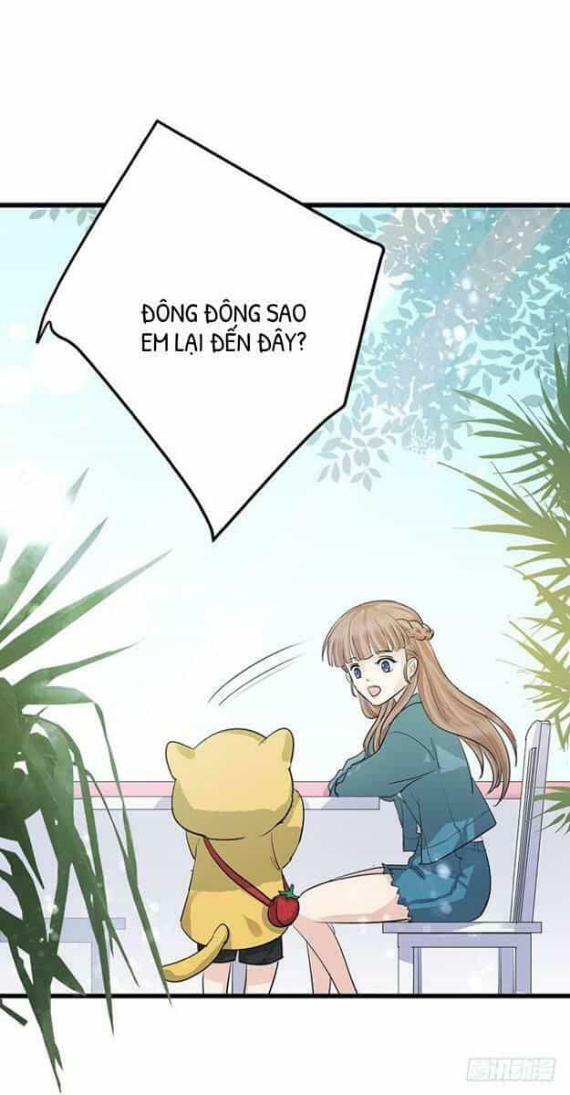 Chào Buổi Sáng, Ức Vạn Manh Thê - Chương 4 - ảnh 42