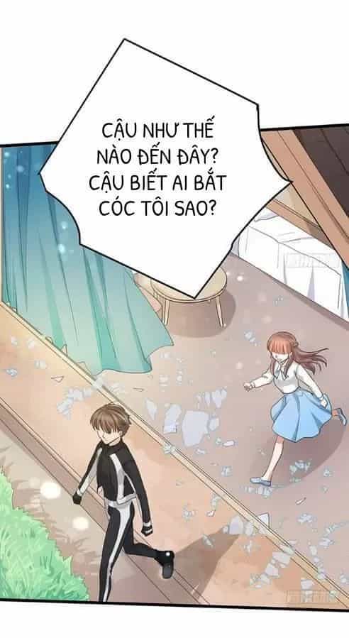Chào Buổi Sáng, Ức Vạn Manh Thê - Chương 41 - ảnh 8