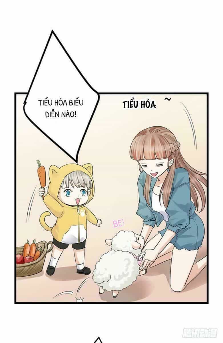 Chào Buổi Sáng, Ức Vạn Manh Thê - Chương 5 - ảnh 33