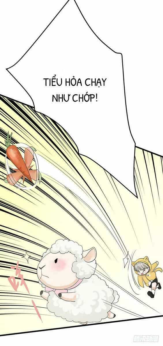 Chào Buổi Sáng, Ức Vạn Manh Thê - Chương 5 - ảnh 34