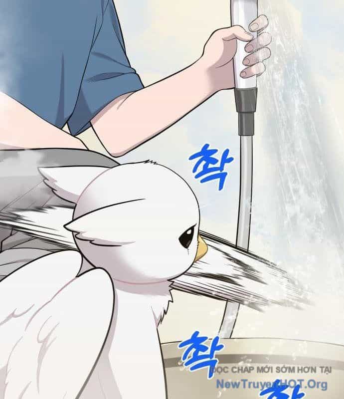 Chào Nhé, Chú Vẹt Mắt Tròn Griffin! - Chương 11 - ảnh 17