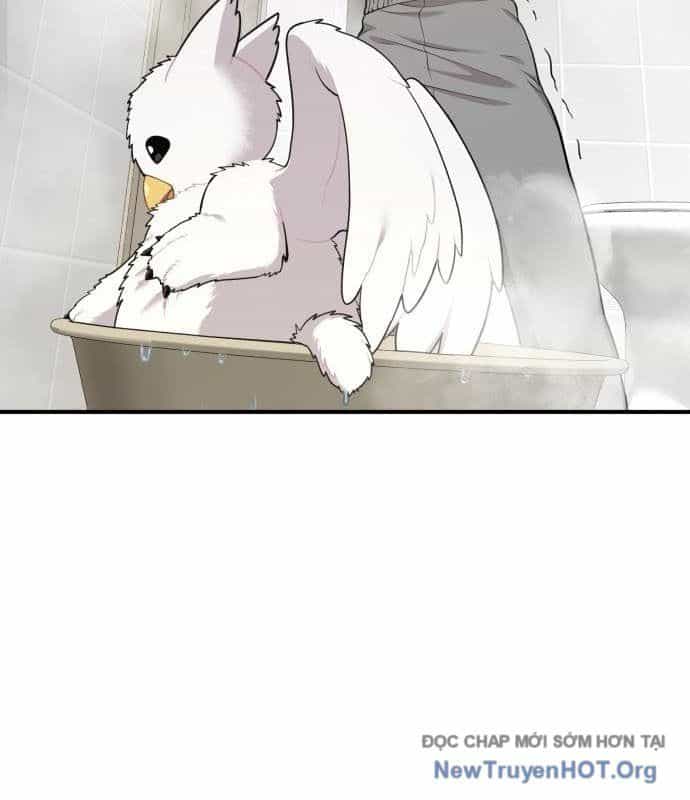 Chào Nhé, Chú Vẹt Mắt Tròn Griffin! - Chương 11 - ảnh 34