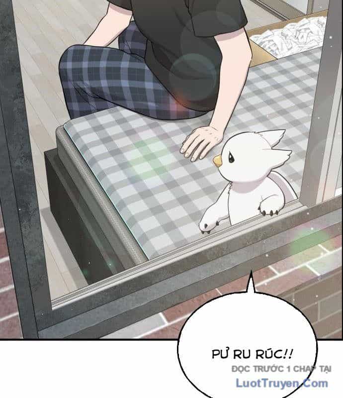 Chào Nhé, Chú Vẹt Mắt Tròn Griffin! - Chương 12 - ảnh 8