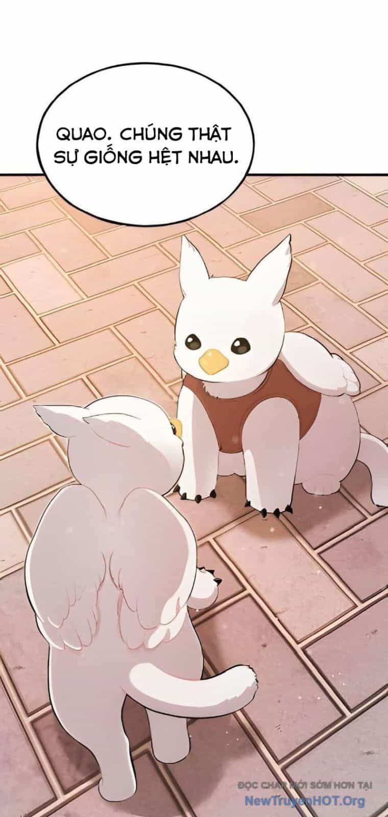Chào Nhé, Chú Vẹt Mắt Tròn Griffin! - Chương 2 - ảnh 2
