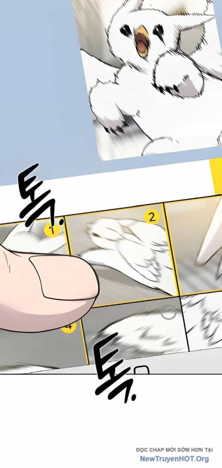 Chào Nhé, Chú Vẹt Mắt Tròn Griffin! - Chương 3 - ảnh 17