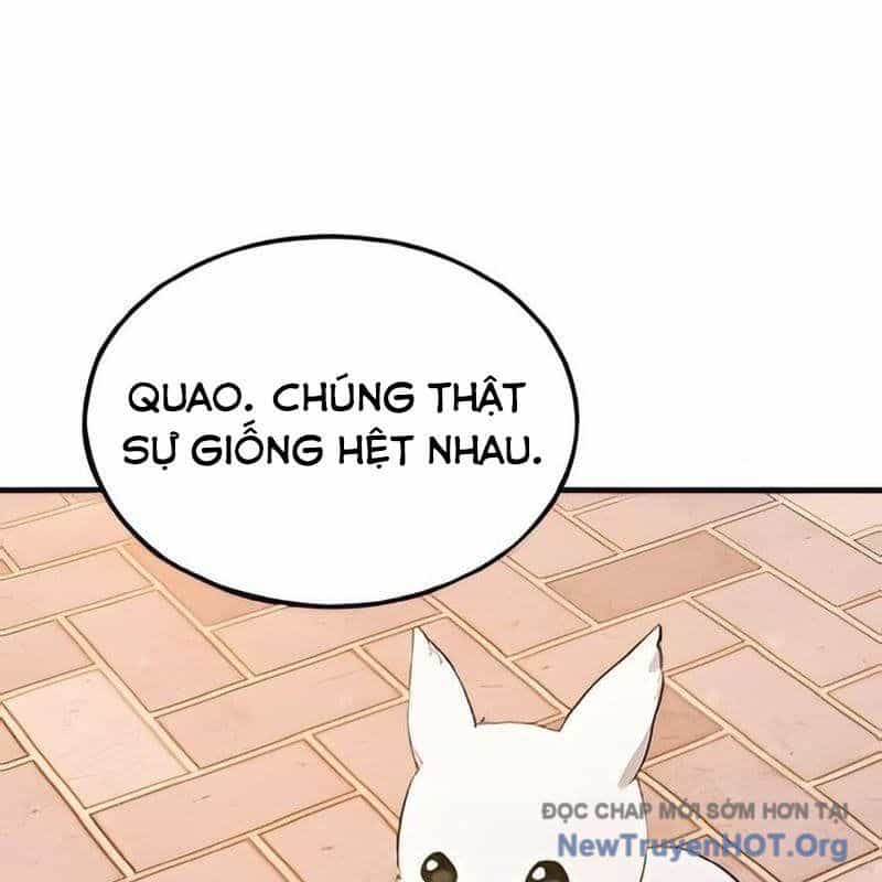 Chào Nhé, Griffin Mắt Tròn! - Chương 2 - ảnh 4